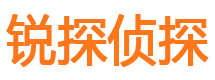 晋源市私人侦探